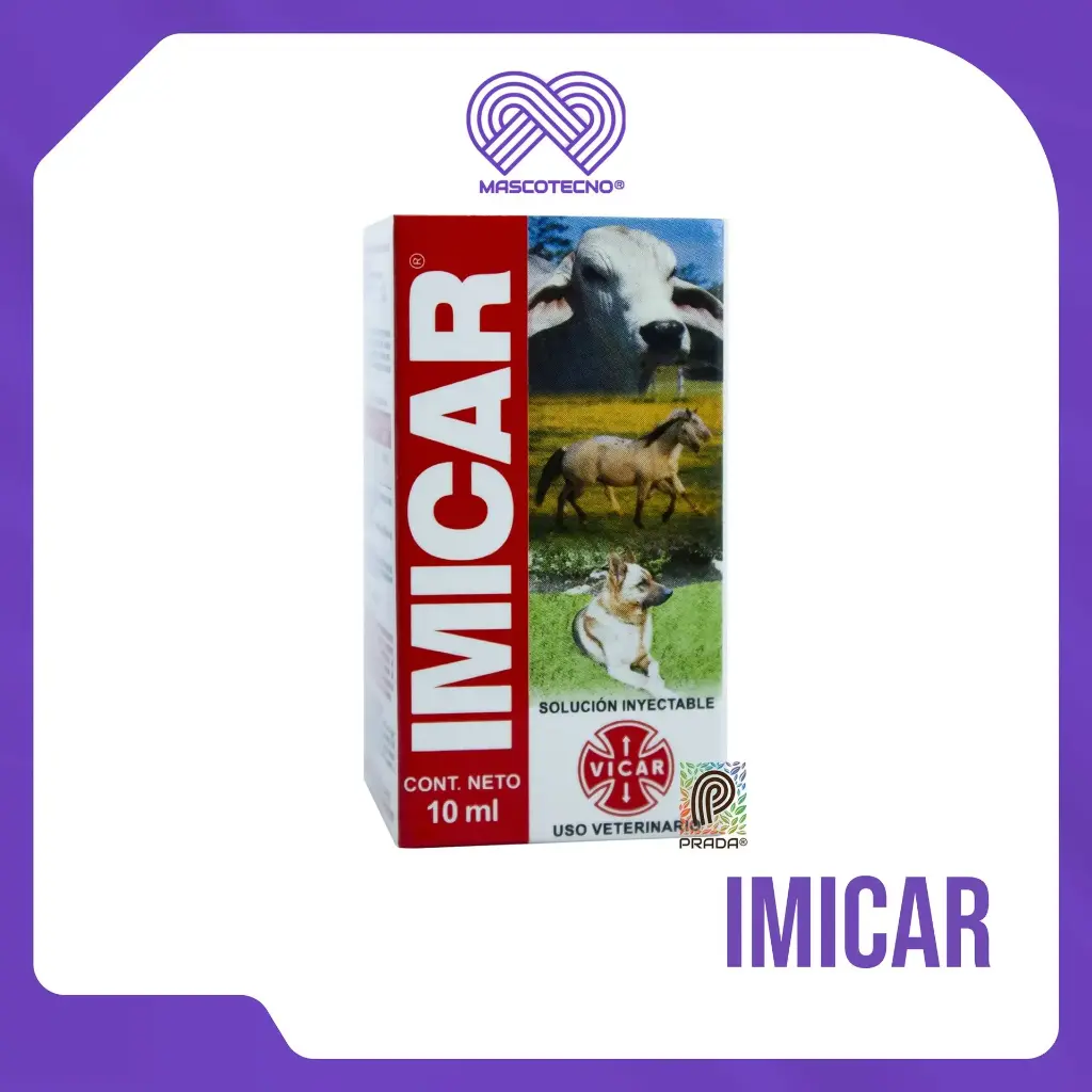 IMICAR INY X 10 ML