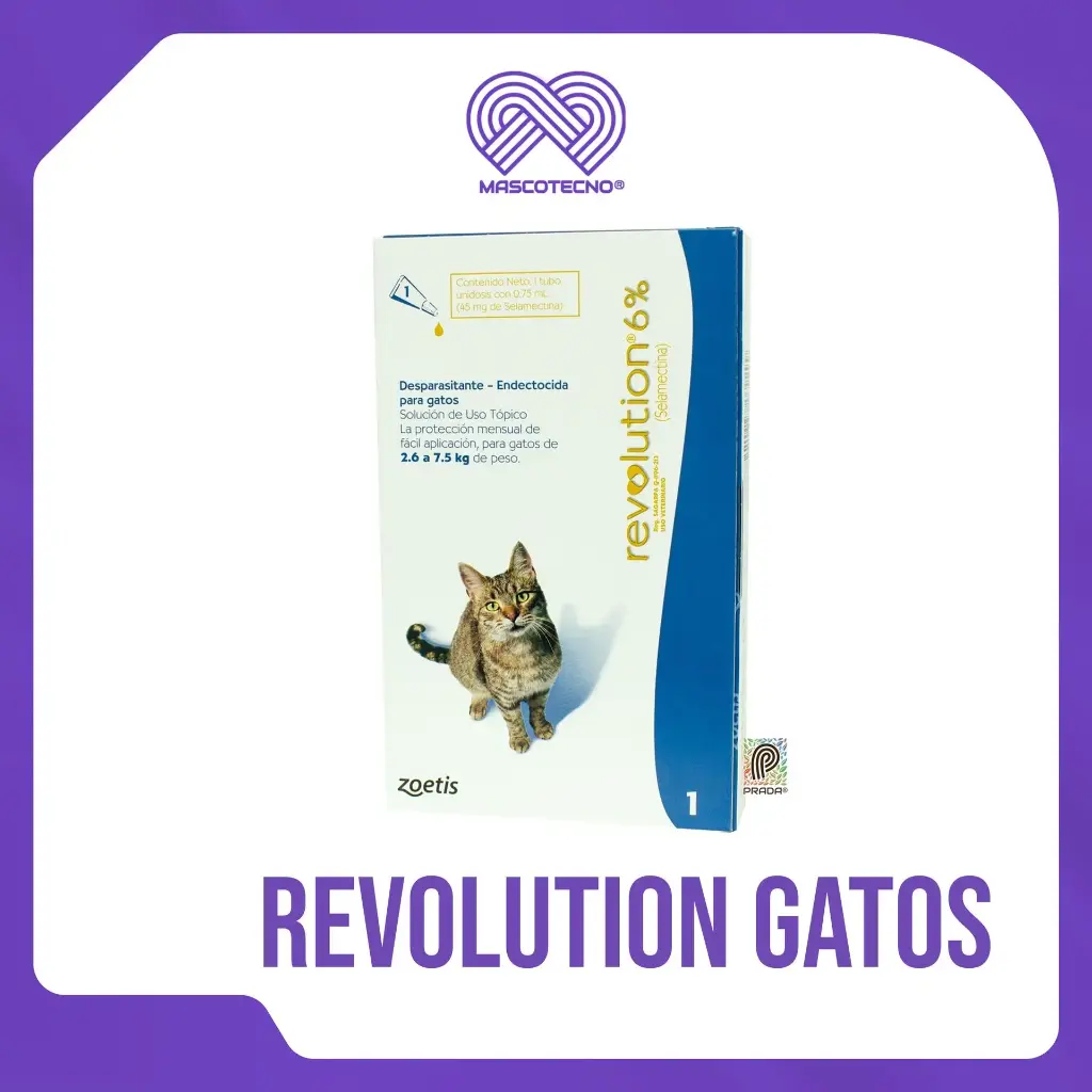 REVOLUTION 6% GATOS (AZUL)