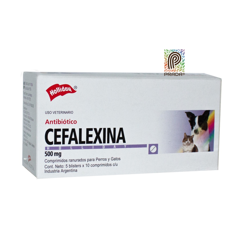 CEFALEXINA 500MG TAB X 10 UND