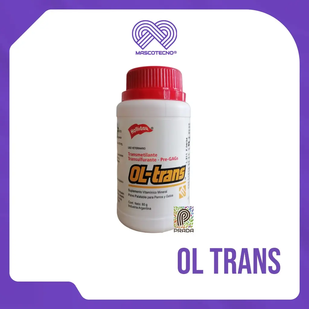 OL TRANS X 80 GR