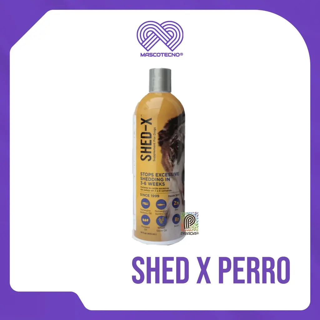 SHED X PERRO X 16 OZ