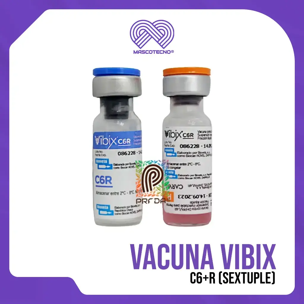 VACUNA VIBIX C6+R (SEXTUPLE)