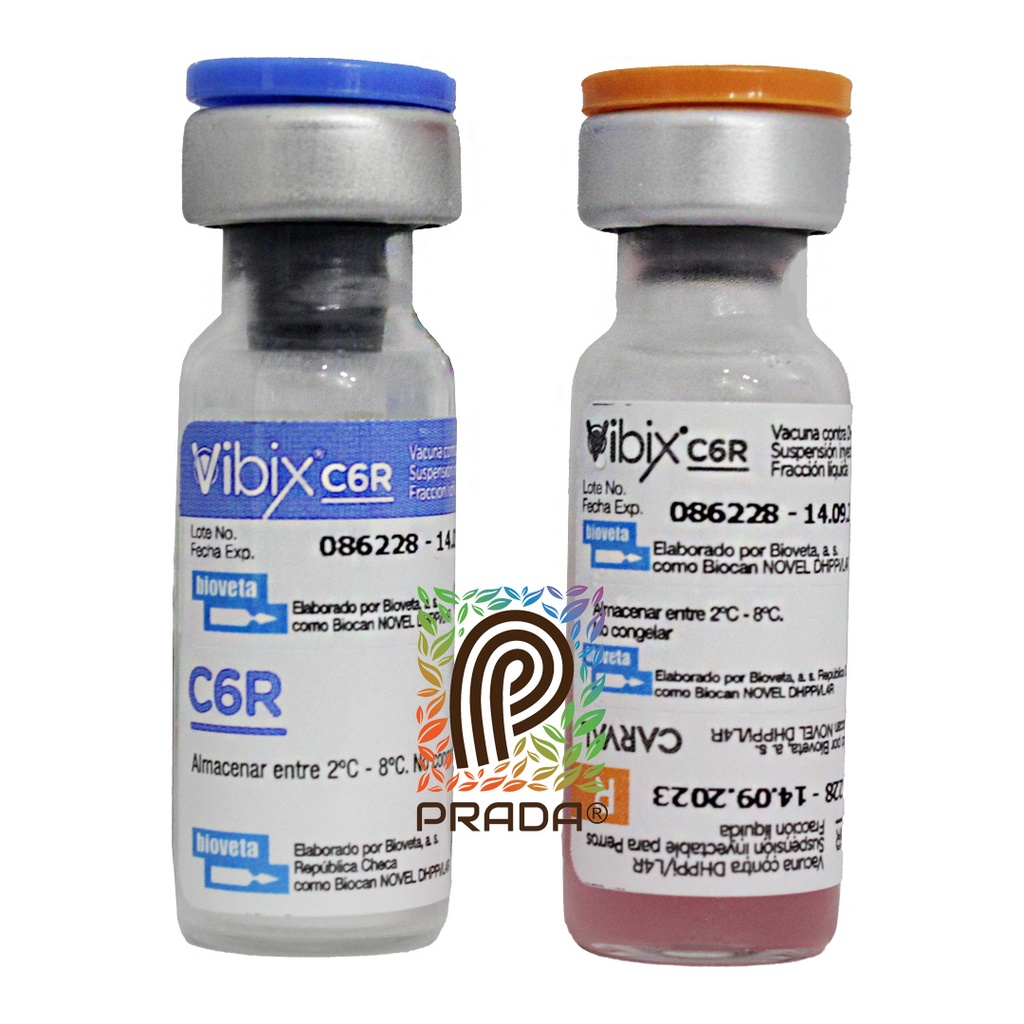 VACUNA VIBIX C6+R (SEXTUPLE)