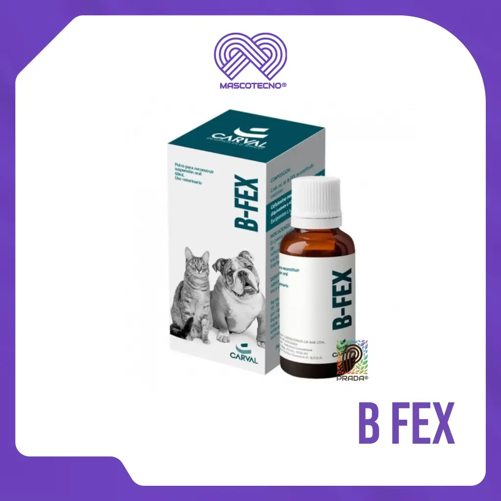 [7-0713-1112] B FEX X 60 ML