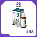 B FEX X 60 ML