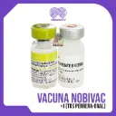VACUNA NOBIVAC INTRATRAC +J (TOS PERRERA-ORAL)