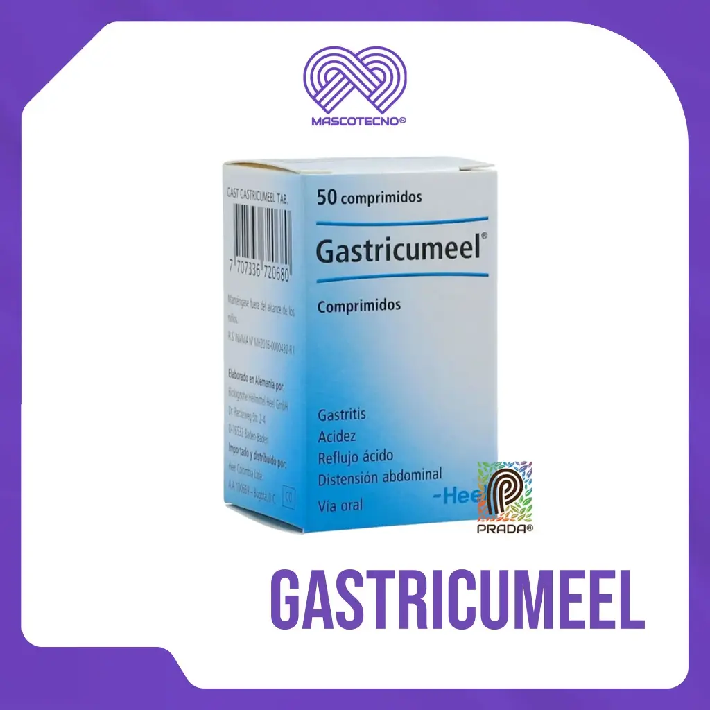 GASTRICUMEEL TAB X 50 UND