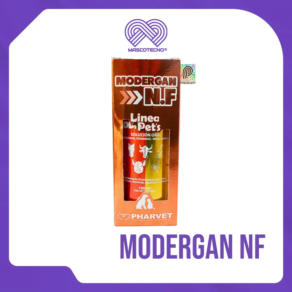 [7-0613-1177] MODERGAN NF X 100 ML