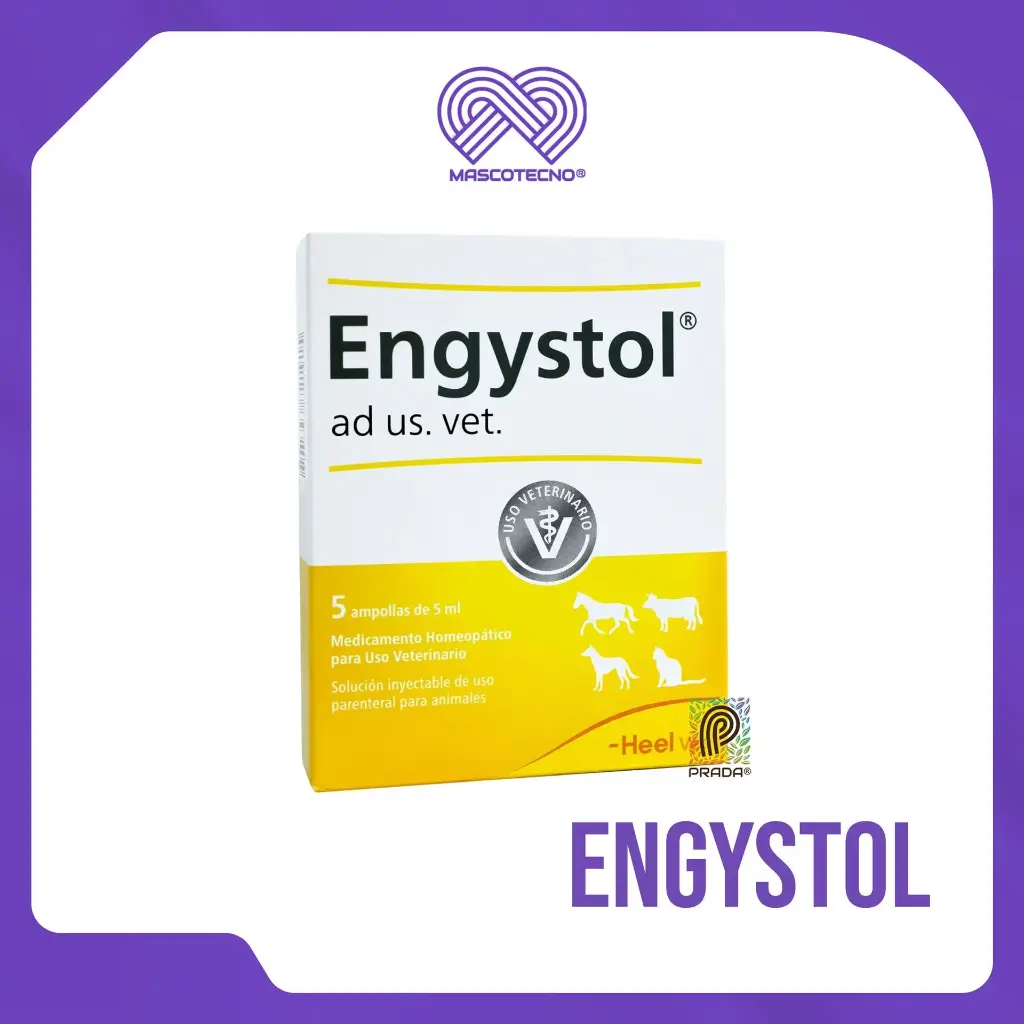 ENGYSTOL INY X 1 AMP