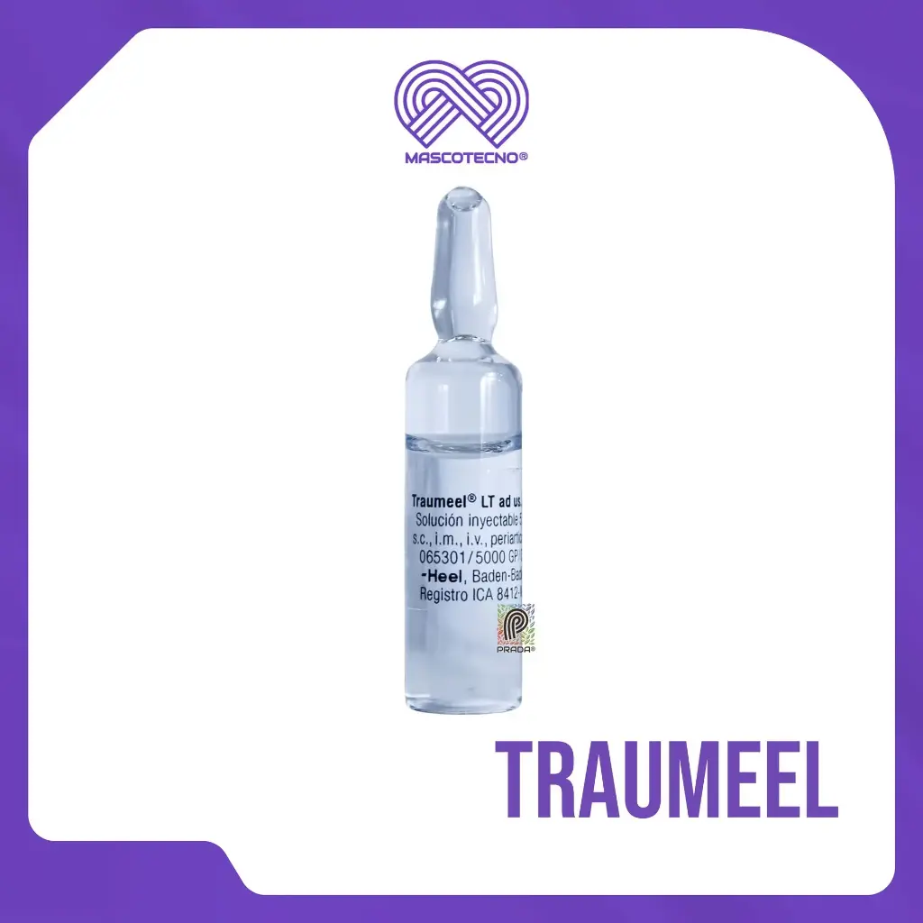 [7-1005-1206] TRAUMEEL INY X 1 AMP
