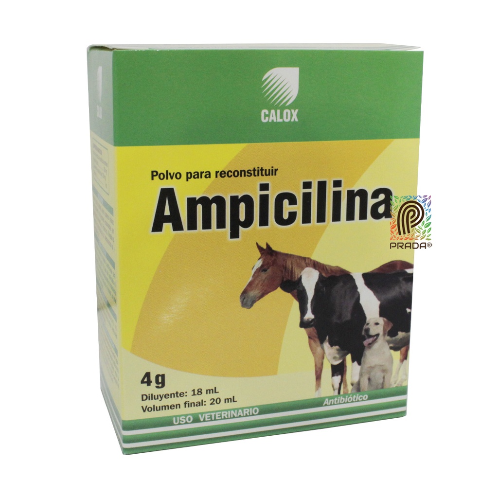 AMPICILINA INY X 4 GR