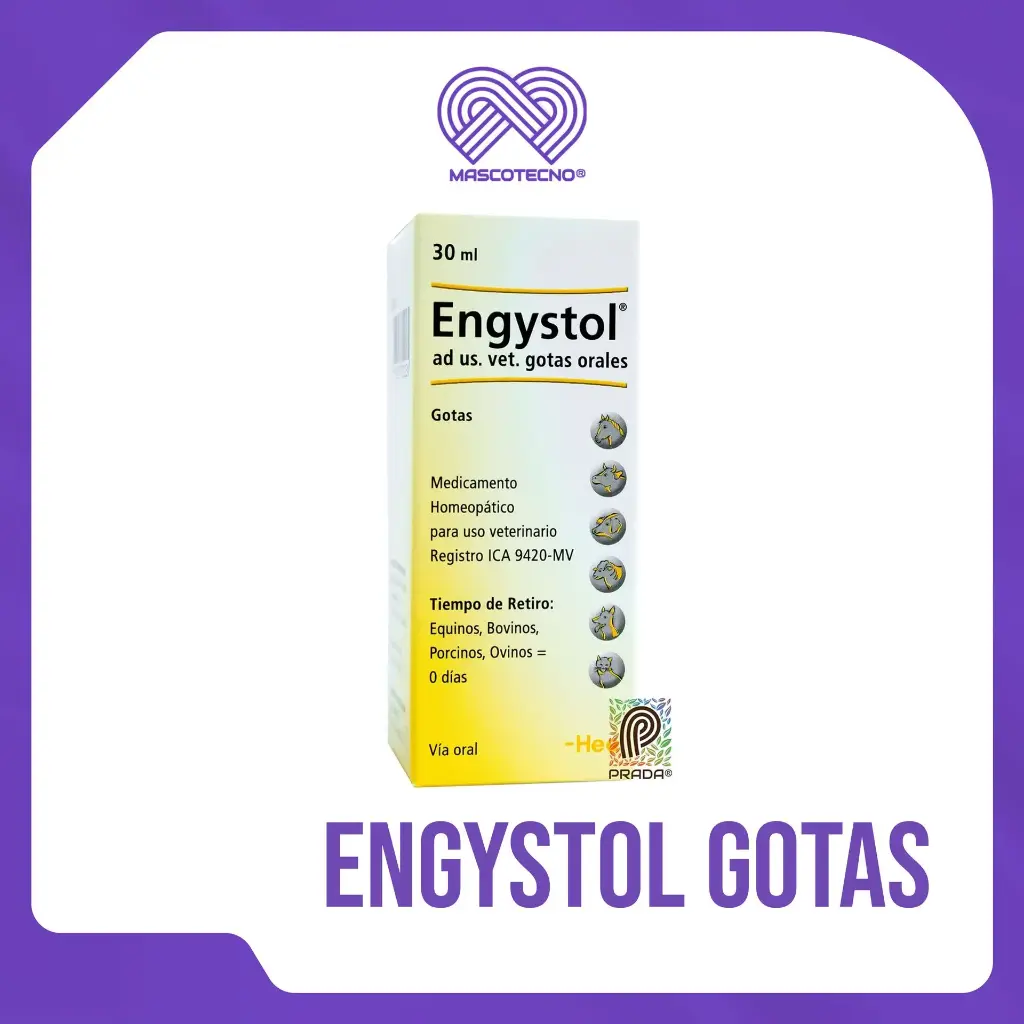 ENGYSTOL GOTAS X 30 ML