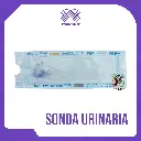 SONDA URINARIA FELINA