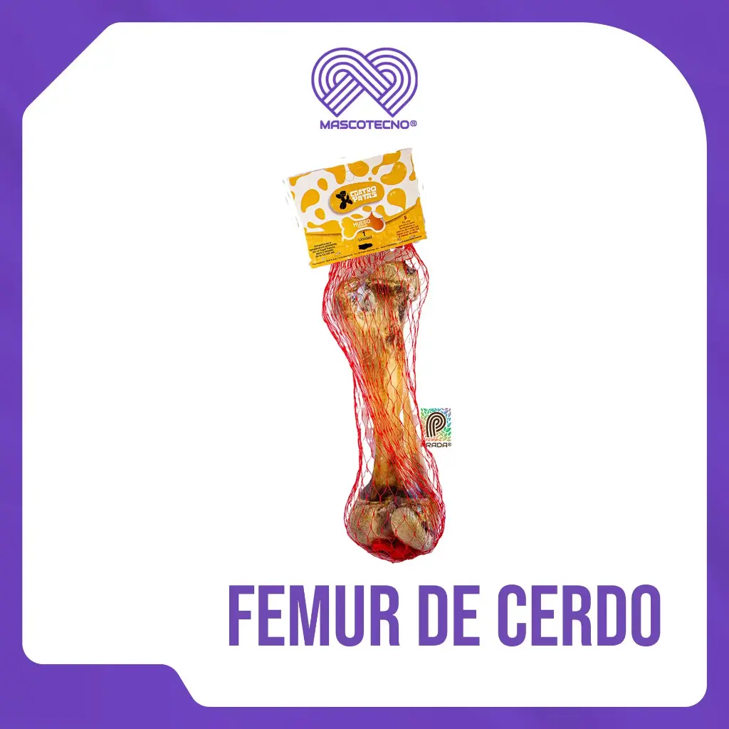 FEMUR DE CERDO