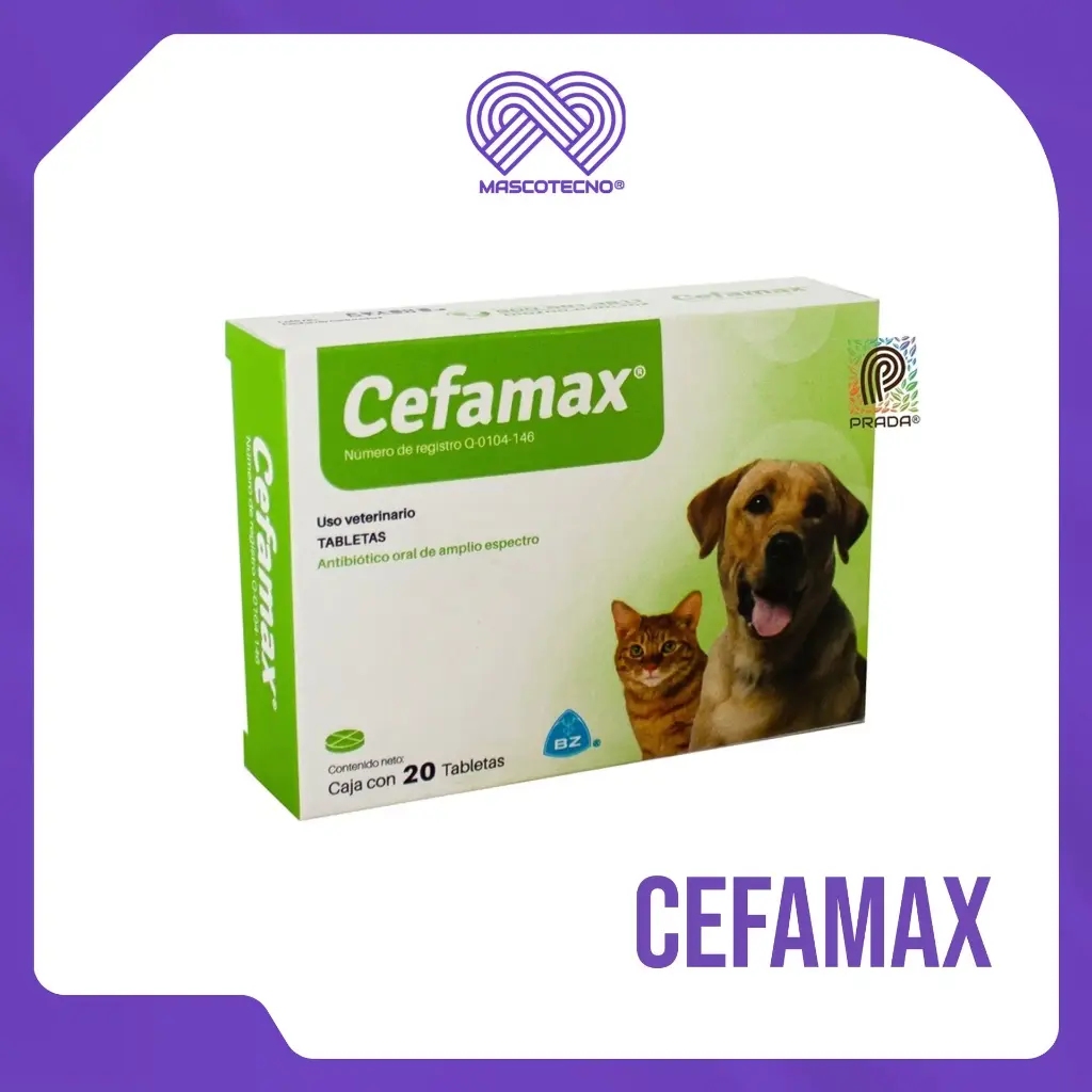 CEFAMAX 250 MG X 20 TAB
