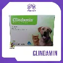 CLINDAMIN X 20 TAB