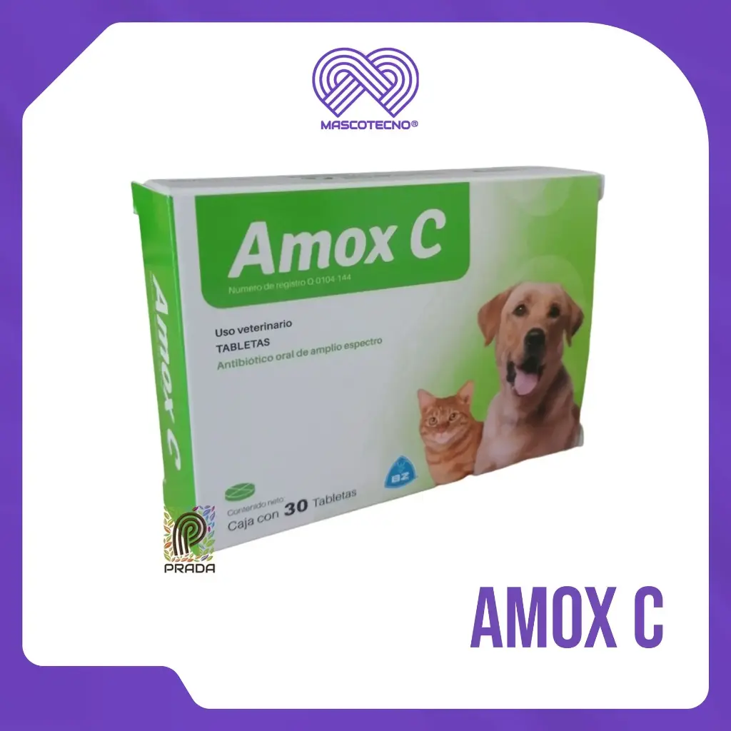AMOX C 30 TABLETAS