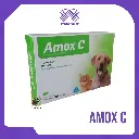 AMOX C 30 TABLETAS
