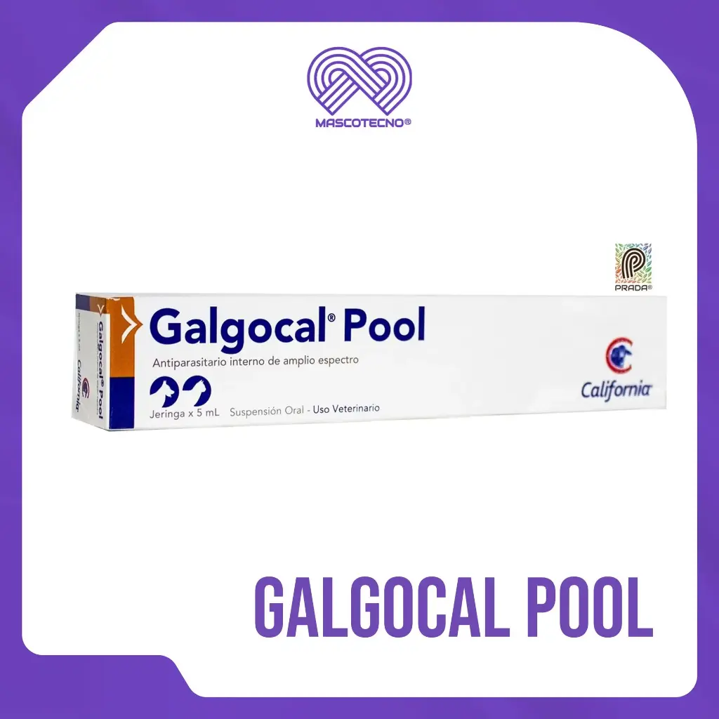 GALGOCAL POOL SUSP ORAL JGA x 5 ML