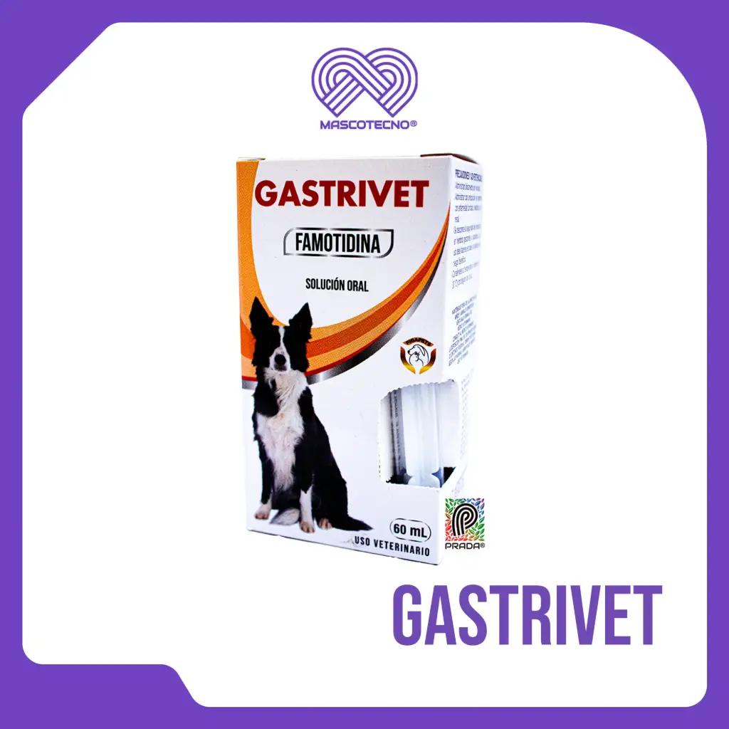 GASTRIVET 60 ML