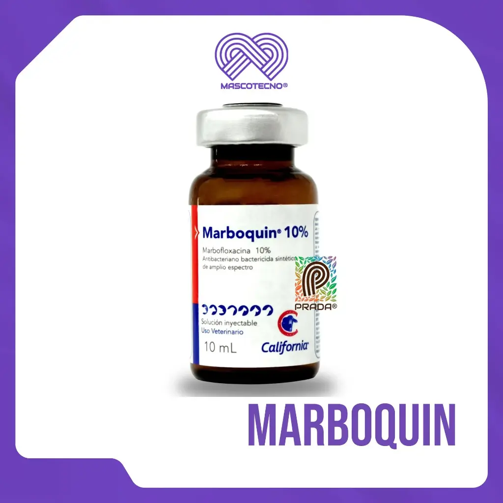MARBOQUIN 10% SOL. INYECTABLE FCO X 10ML 6