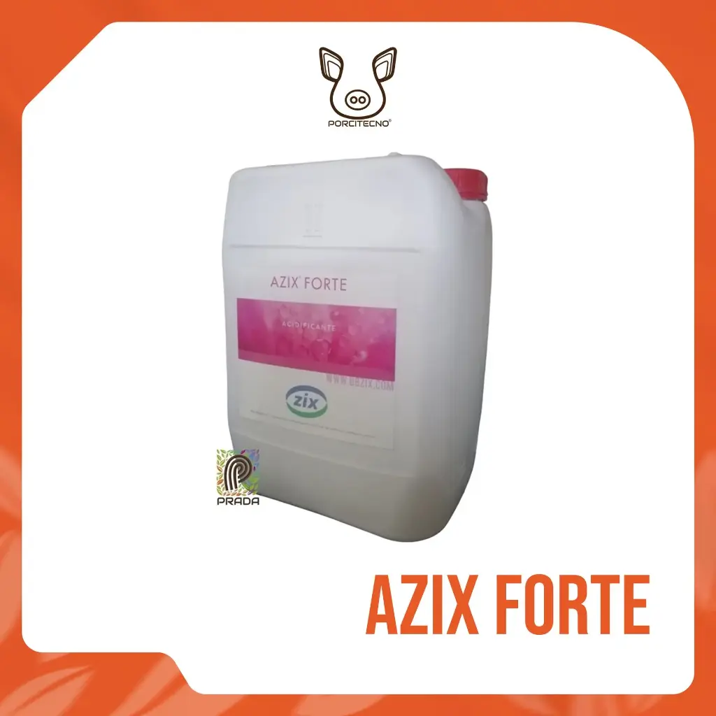 AZIX FORTE (25 Lt)