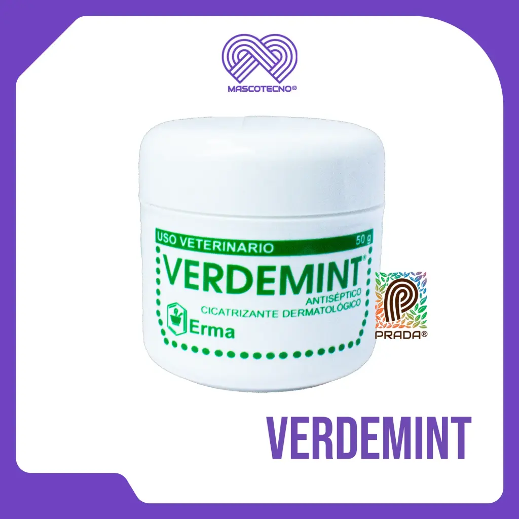 VERDEMINT TARRO x 50 GR