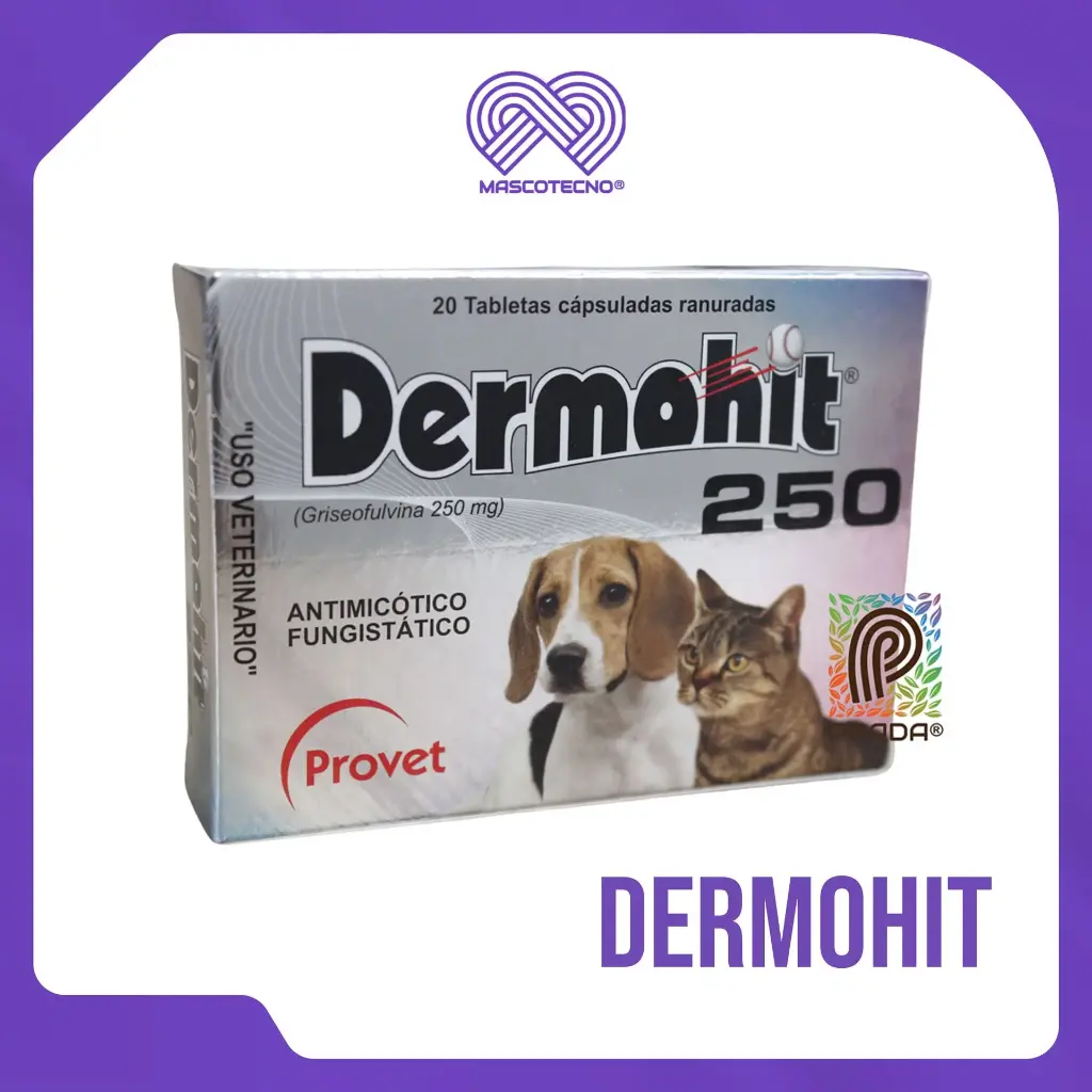 DERMOHIT 250MG TAB X 20 UND