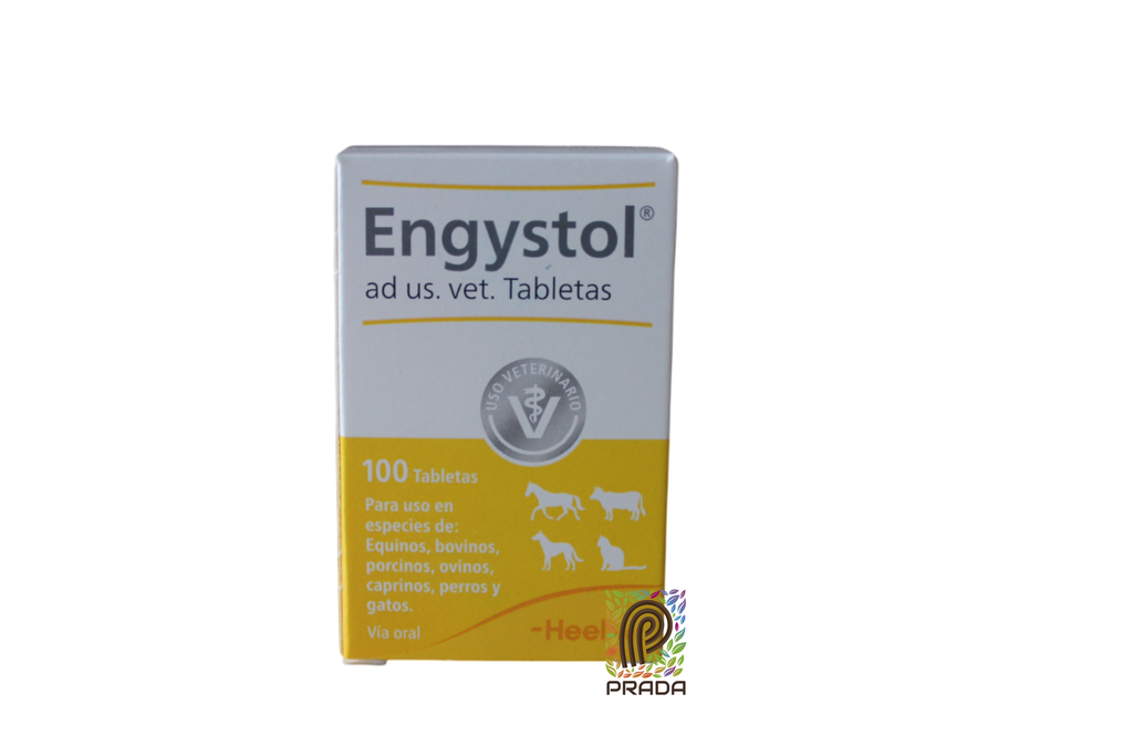 ENGYSTOL TAB X 100 UND