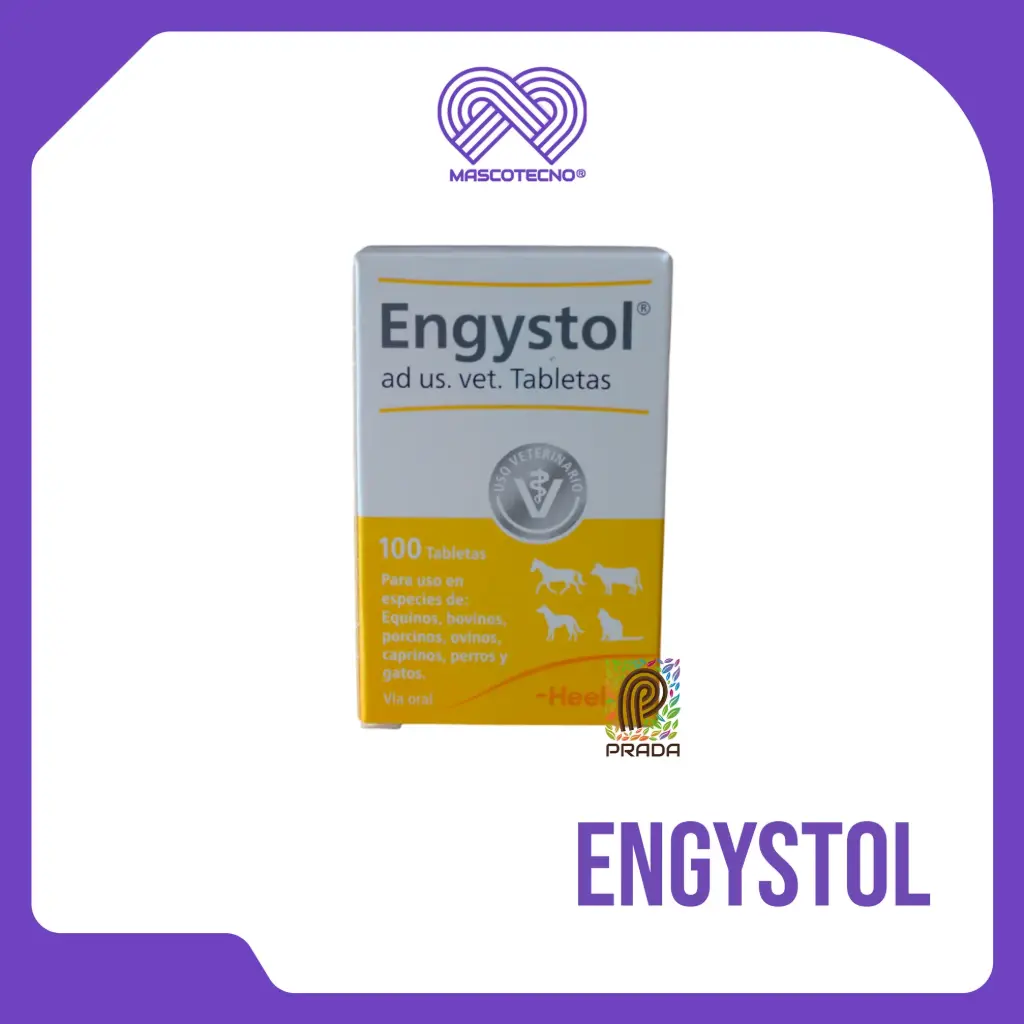 ENGYSTOL X 100 TABS