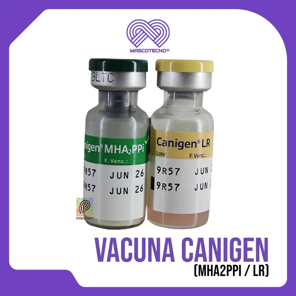 [1-0102-1034] CANIGEN 