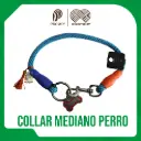 COLLAR MEDIANO PARA PERRO