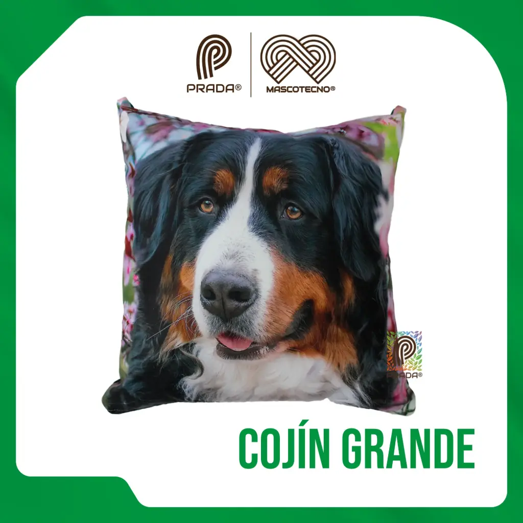 [0-0000-024] COJIN GRANDE DISEÑO CON MASCOTAS