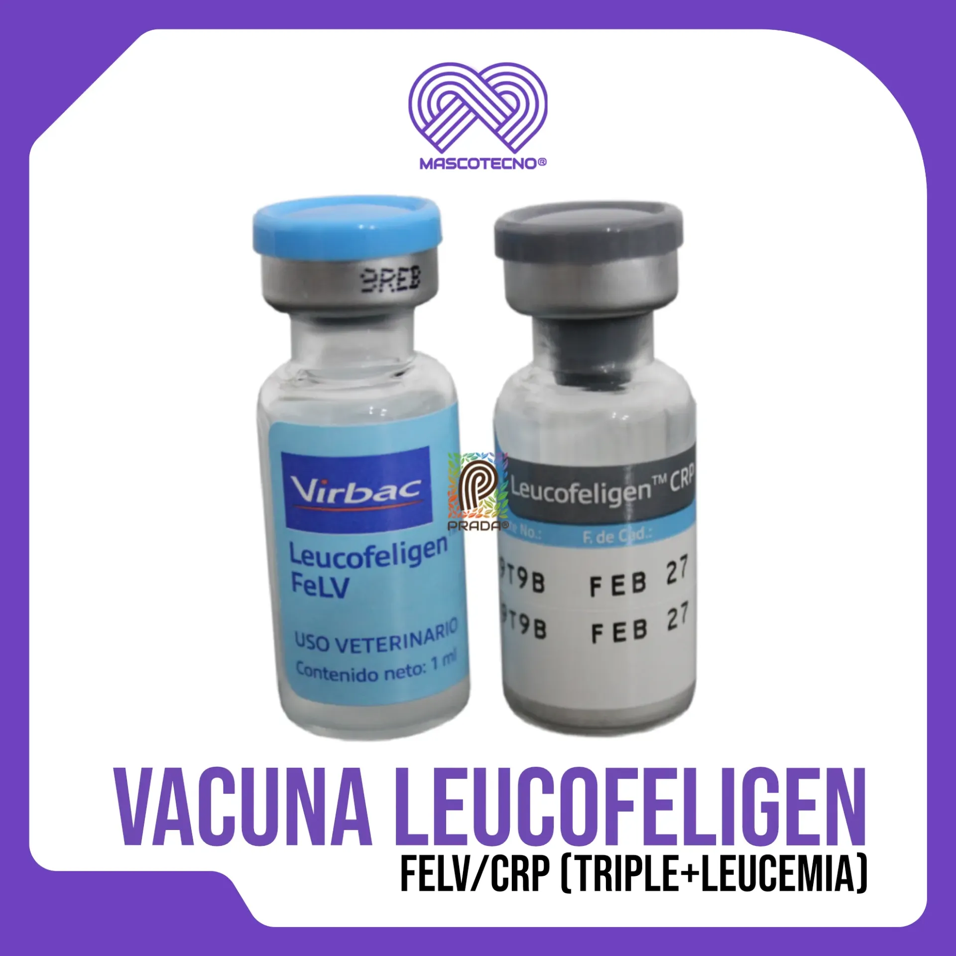 [1-0101-1035] VACUNA LEUCOFELIGEN FELV/CRP