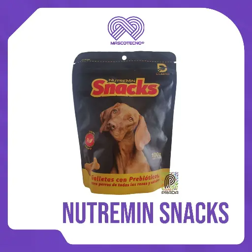 [7-0000-0776] NUTREMIN SNACKS X 100 GR