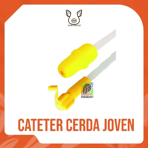 [6-0020-0316] CATETER CERDA JOVEN GILT AMARILLO-VERDE TIPO B