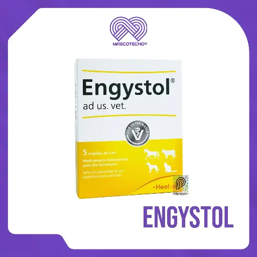 [7-1005-1202] ENGYSTOL INY X 1 AMP