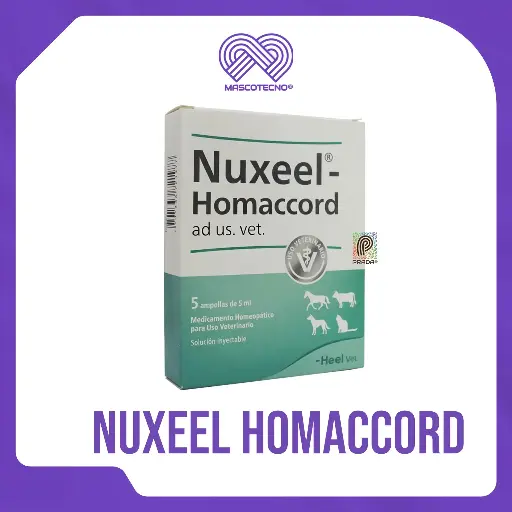 [7-1005-1205] NUXEEL HOMACCORD INY X 1 AMP