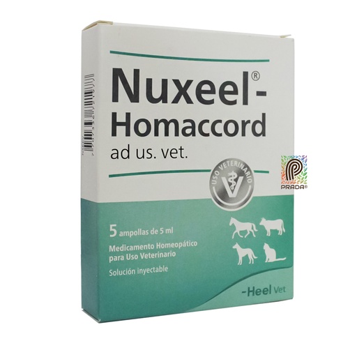 [7-1005-1205] NUXEEL HOMACCORD INY X 1 AMP