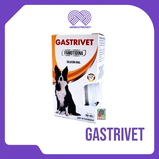[1-0105-1272] GASTRIVET 60 ML