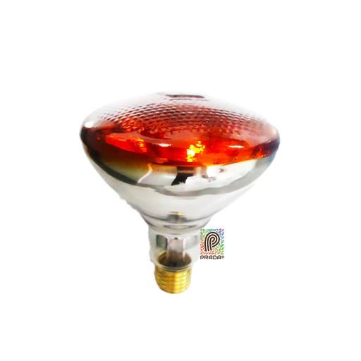 [0-0000-0005] LAMPARA (BOMBILLO INFRARROJO) 120V - 175W